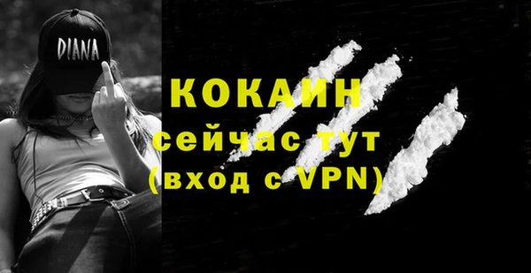 бошки Каменка