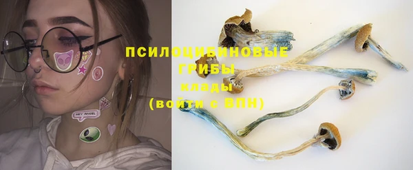 бошки Каменка