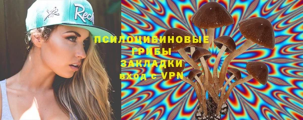 jwh Каменногорск