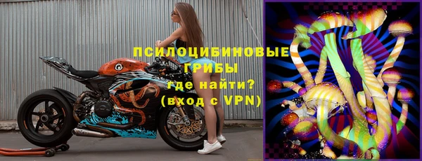 jwh Каменногорск