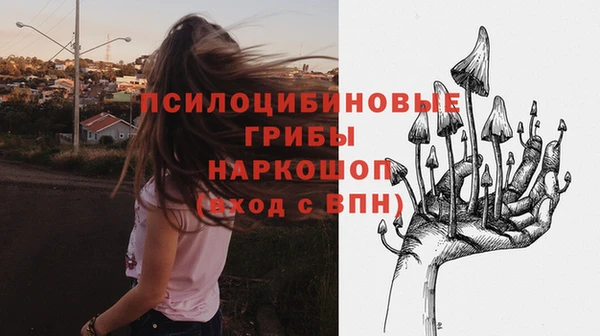 мдпв Каменск-Шахтинский