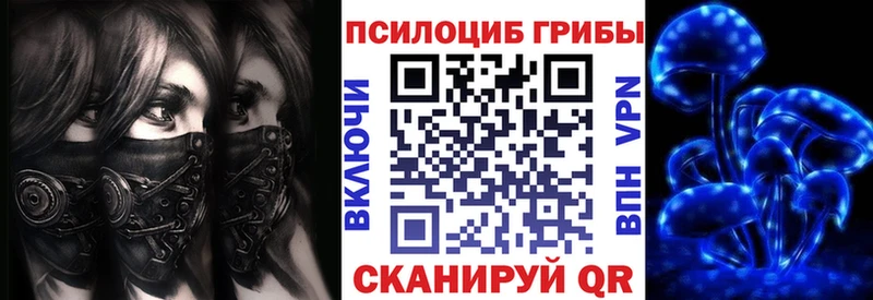 Псилоцибиновые грибы Psilocybine cubensis  Купить  Семилуки 